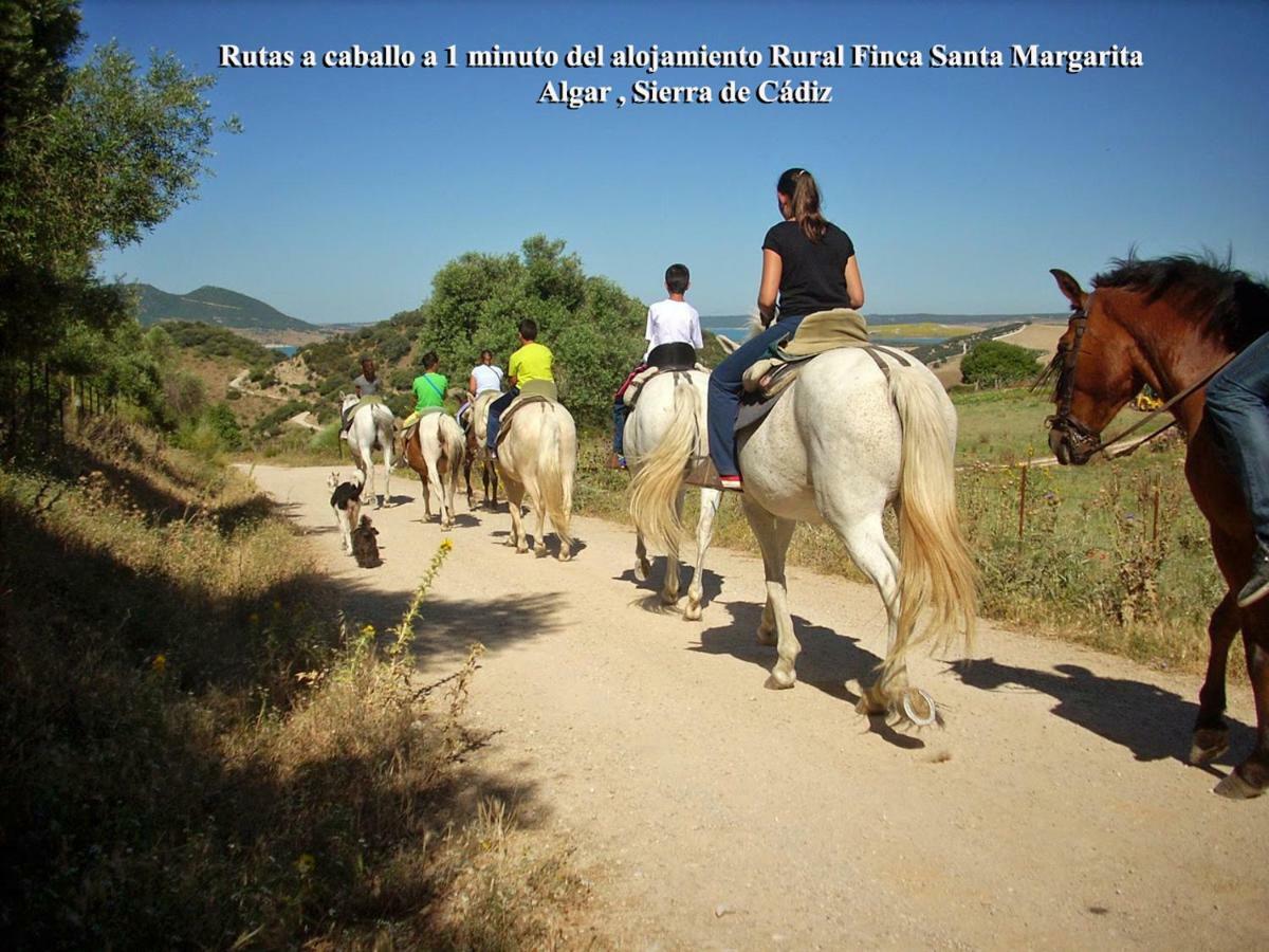 Hébergement de vacances Rural - Santa Margarita Algar (Cadiz)